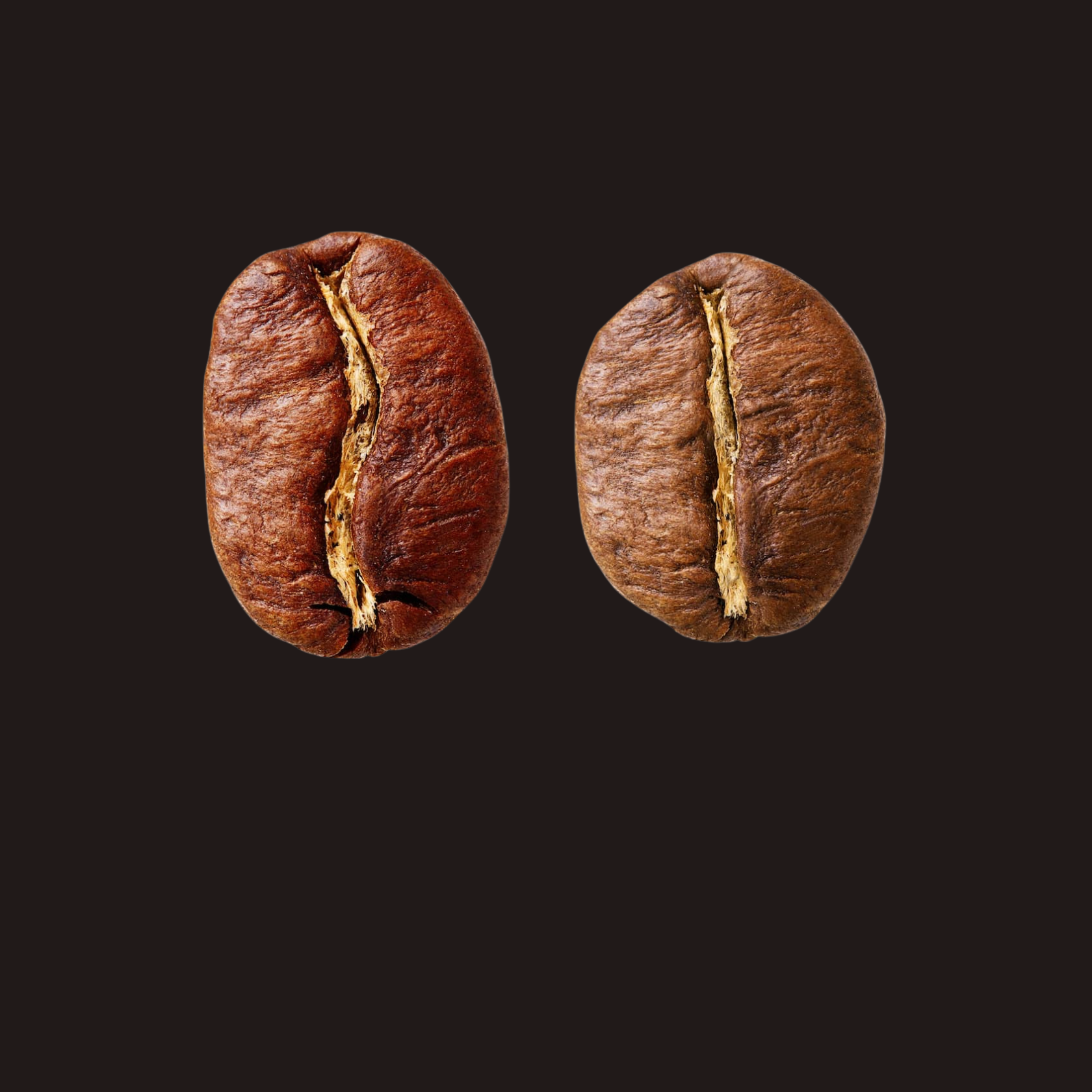 Arabica vs. Robusta