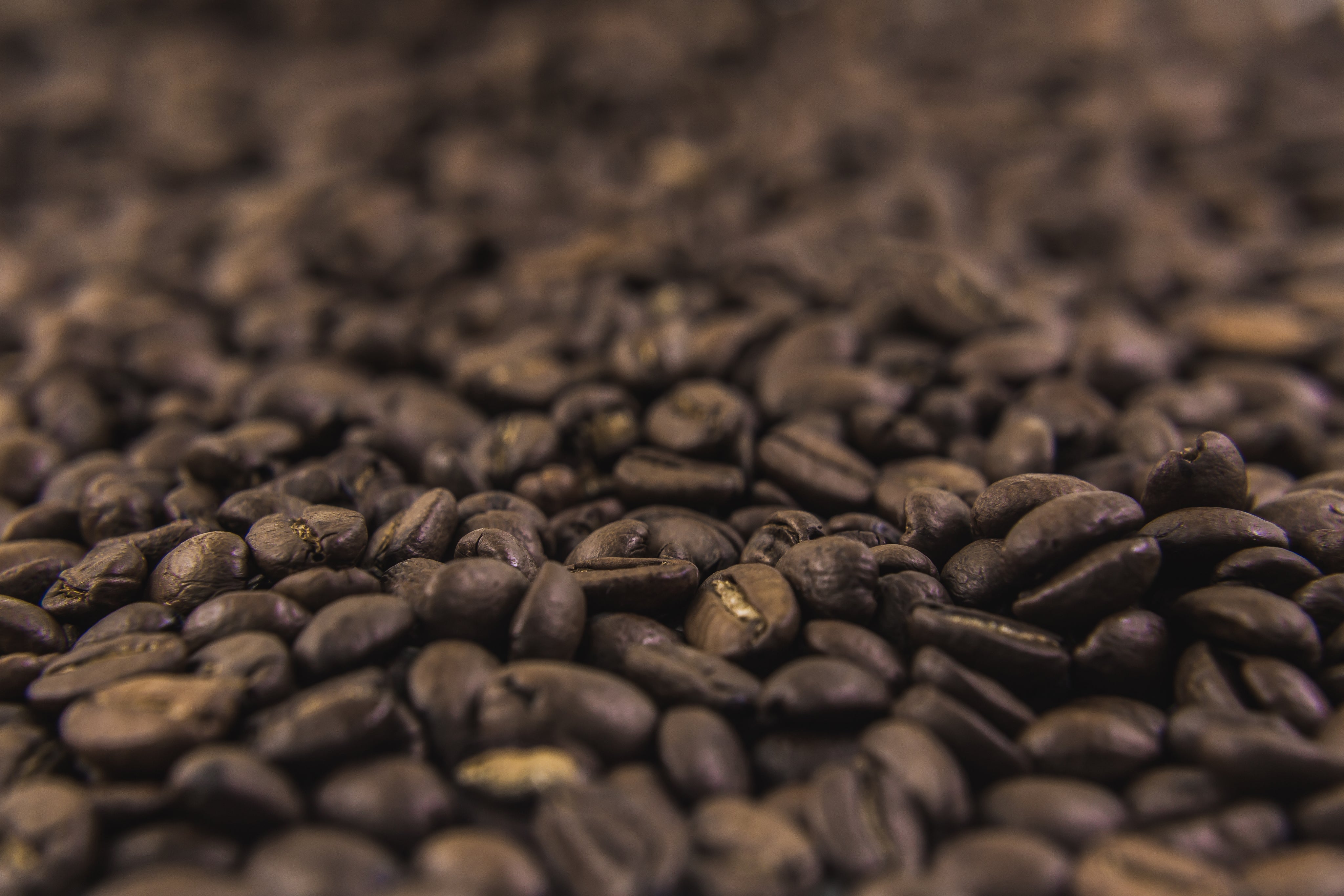 Välj rätt kaffe